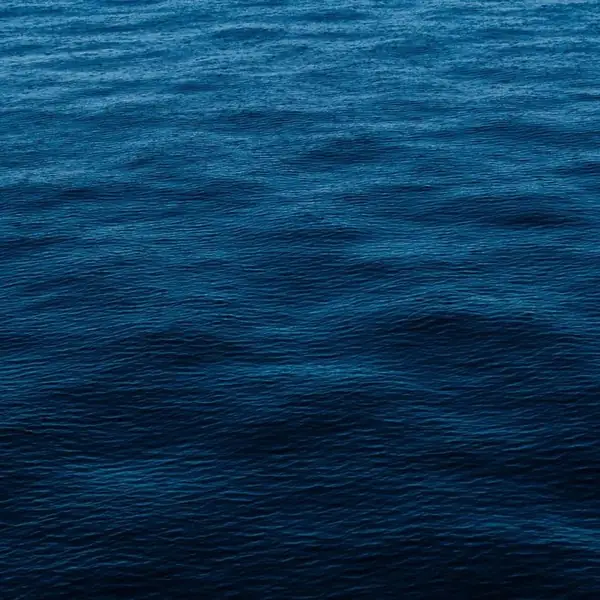 Hydratant